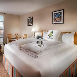 *** Hotel Staypineapple, Inn, District United States